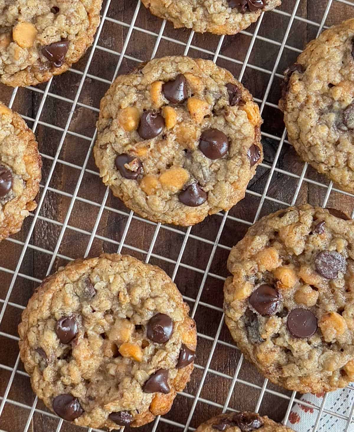 oatmeal scotchies with chocolate chips on baking rack.