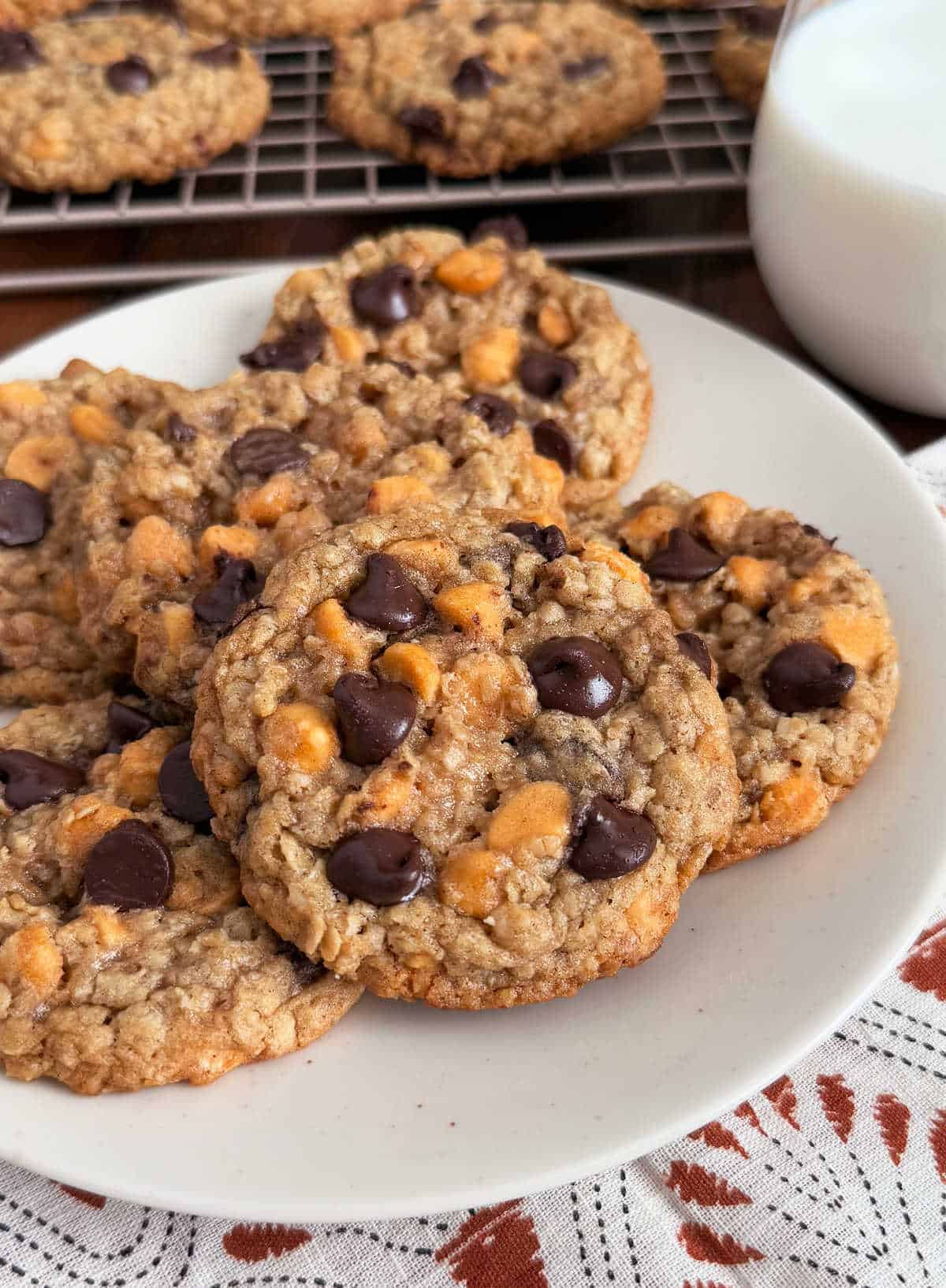 plate of oatmeal butterscotch cookies with chocolate chips.