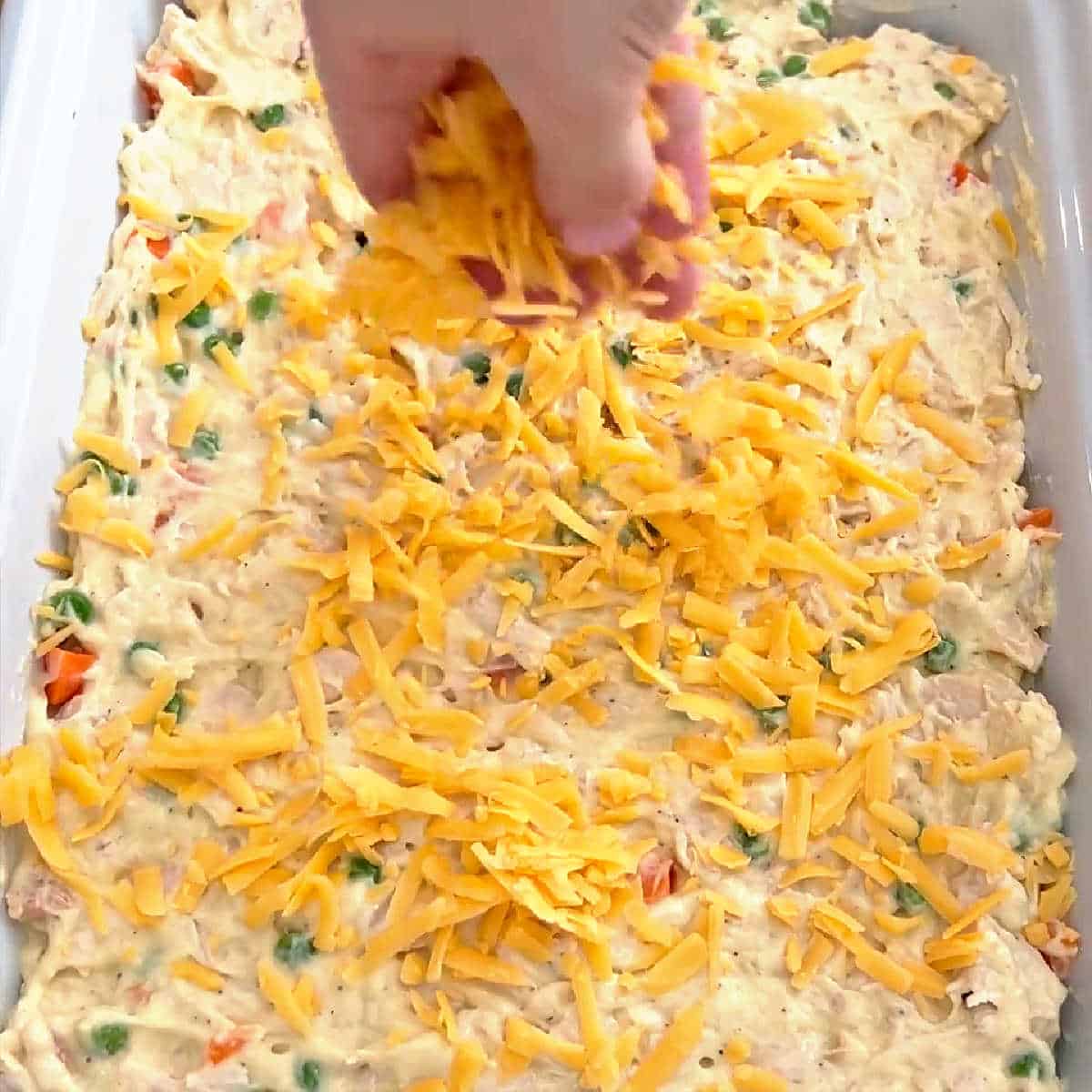 sprinkling cheddar cheese on top of filling.