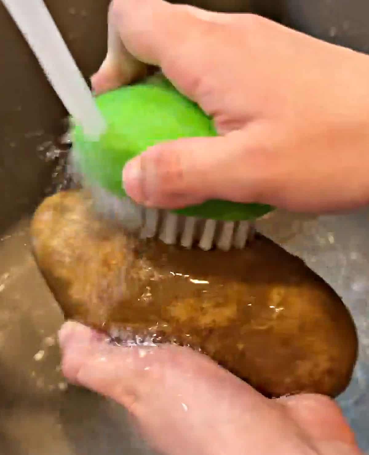 scrubbing russet potato with brush and water.