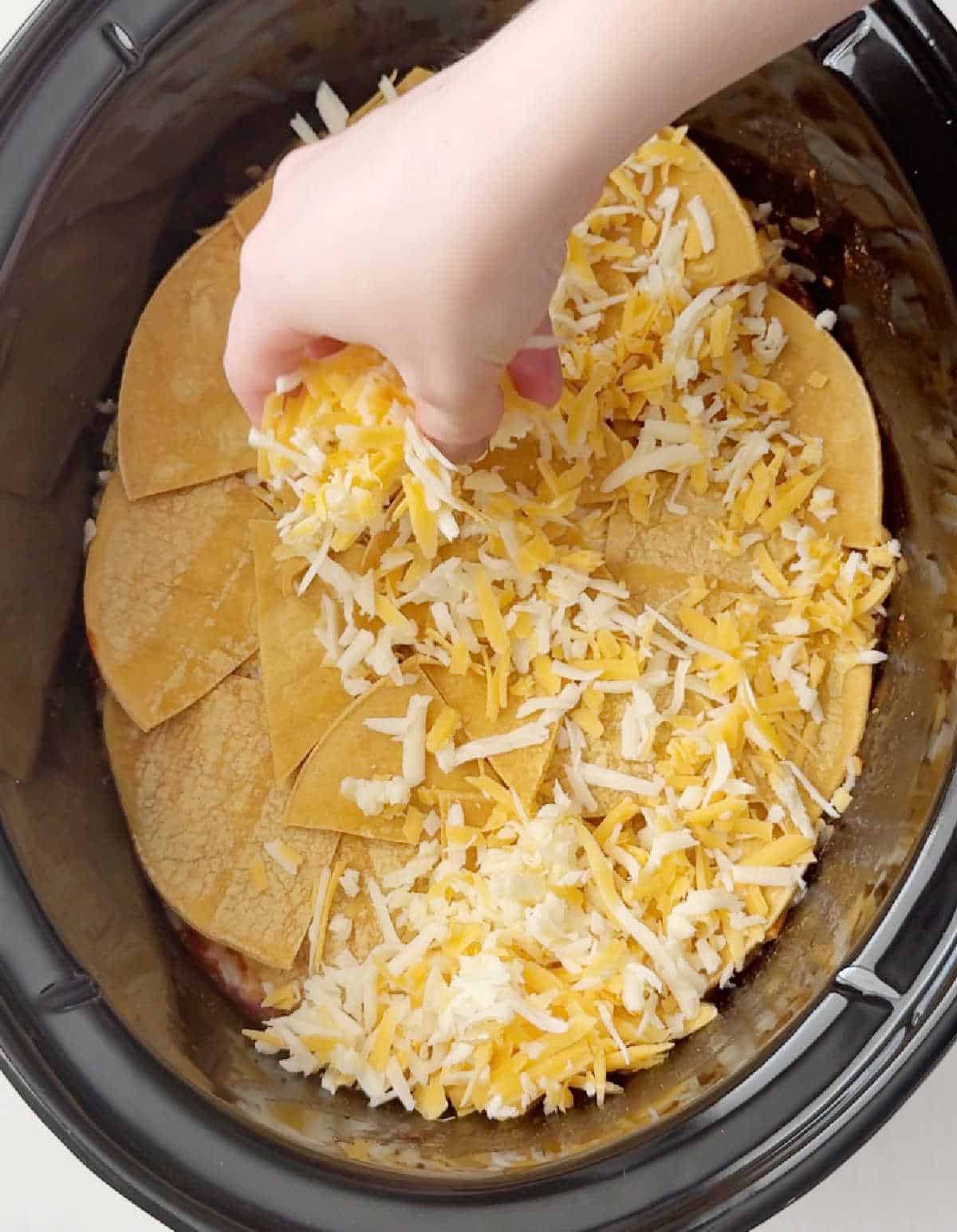 adding shredded cheese over tortillas.